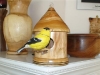 dsc00007-small dsc00007-small