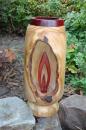View The Hollowed Forms Album