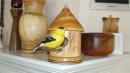 View The Ornaments Album
